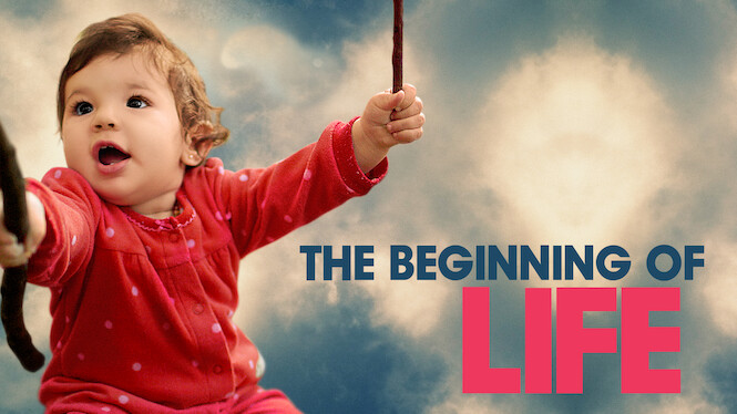 Capa do vídeo The Beginning of Life